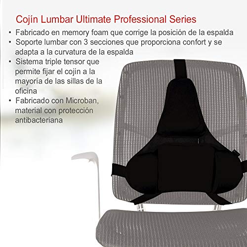 Fellowes Professional Series - Cojín lumbar ergonómico, Proporciona Apoyo Lumbar para la Espalda, Protección antibacteriana, color negro