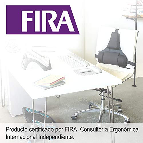 Fellowes Professional Series - Cojín lumbar ergonómico, Proporciona Apoyo Lumbar para la Espalda, Protección antibacteriana, color negro