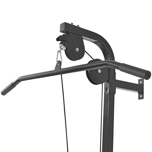 Festnight Gimnasio en Casa Casero de Pared con 2 poleas, Gimnasia Casera Equipo de 99 x 53 x 194 cm Negro