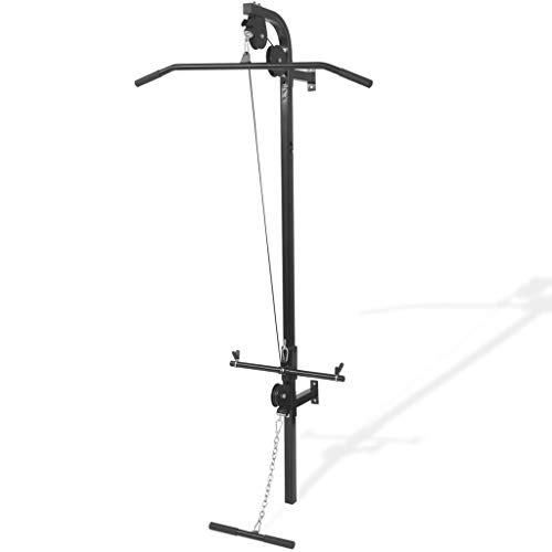 Festnight Gimnasio en Casa Casero de Pared con 2 poleas, Gimnasia Casera Equipo de 99 x 53 x 194 cm Negro