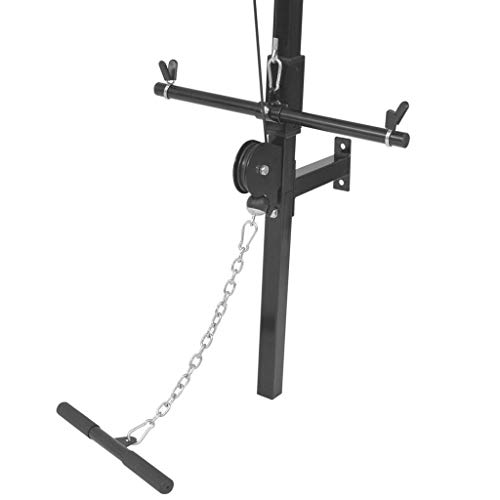 Festnight Gimnasio en Casa Casero de Pared con 2 poleas, Gimnasia Casera Equipo de 99 x 53 x 194 cm Negro