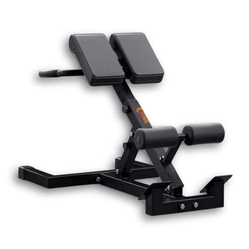 FFitness - Banco de silla romana multifunción para hiperextensiones Crunch Tricipiti Dips inclinación, altura ajustable y plegable