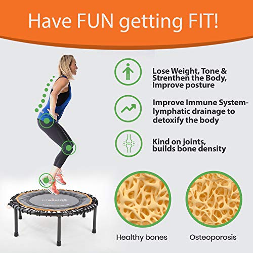 Fit Bounce Pro XL Rebounder Mini Trampolín Silencioso con Cuerda Elástica Aparato para Ejercicio Cardiovascular Salto de. Incluye DVD y Bolsa de Almacenamiento.