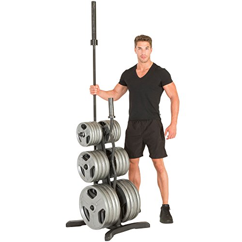 Fitness Reality Clase X Estante olímpico para árbol/Platos, Soportes de Barra, Postes de Almacenamiento cromados, Capacidad de 1000 Libras con garantía Limitada de por Vida, Unisex, Negro, 1000 LB