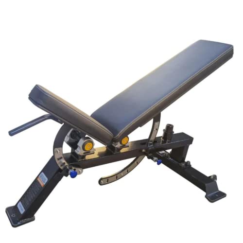 Fitness Tech - Banco de Musculación Ajustable Profesional - Entrenamiento de Alta Resistencia - Ejercicio Completo - Banca y Press de Barra - 38 Kg