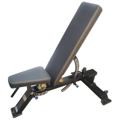 Fitness Tech - Banco de Musculación Ajustable Profesional - Entrenamiento de Alta Resistencia - Ejercicio Completo - Banca y Press de Barra - 38 Kg