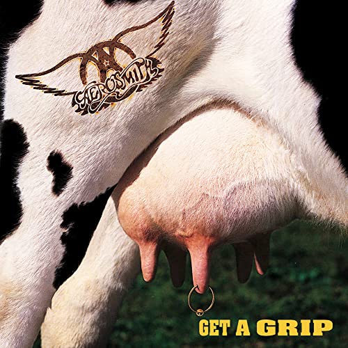 Get a Grip [Vinilo]