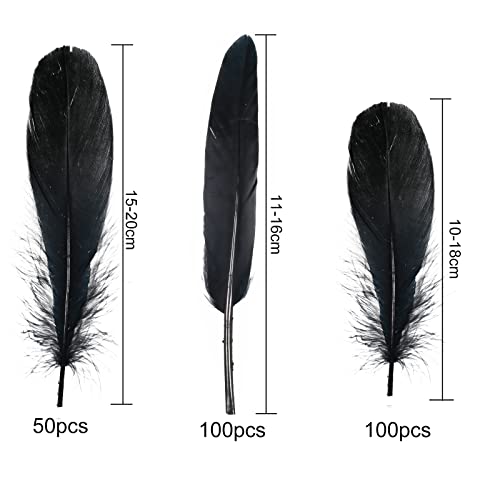 GGISUI 250 Piezas Plumas Negro Naturales Plumas de Ganso Decoracion 3 tamaños para Bricolaje Atrapasueños Decoración Ceremonia Boda Disfraces de Halloween Alas de Angel