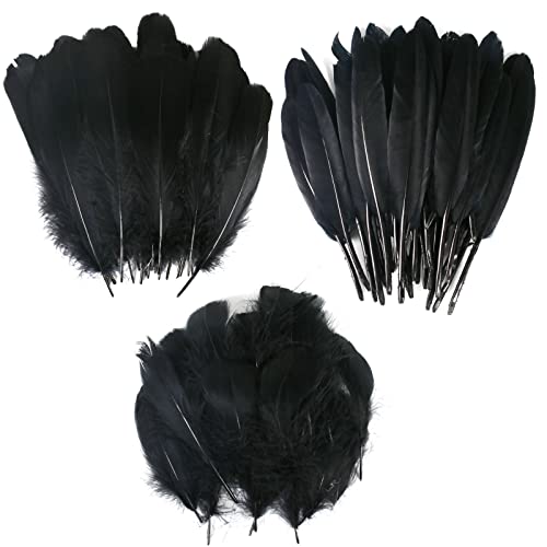 GGISUI 250 Piezas Plumas Negro Naturales Plumas de Ganso Decoracion 3 tamaños para Bricolaje Atrapasueños Decoración Ceremonia Boda Disfraces de Halloween Alas de Angel