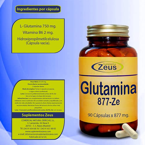 GLUTAMINA 877-ZE Contribuye a la recuperación muscular tras sesiones de entrenamiento intenso. Complemento Alimenticio a base de L-Glutamina y Vitamina B6 100% Vegano. 90 Cápsulas Vegetales