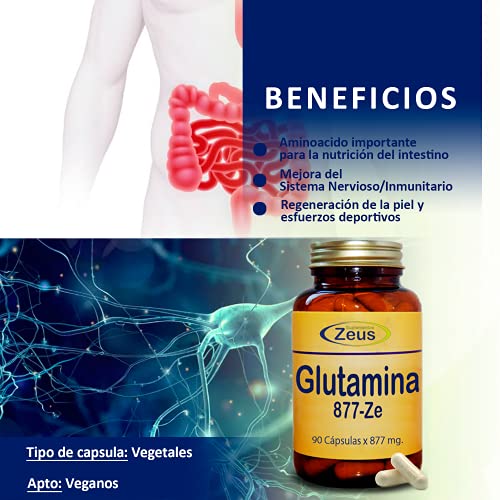 GLUTAMINA 877-ZE Contribuye a la recuperación muscular tras sesiones de entrenamiento intenso. Complemento Alimenticio a base de L-Glutamina y Vitamina B6 100% Vegano. 90 Cápsulas Vegetales