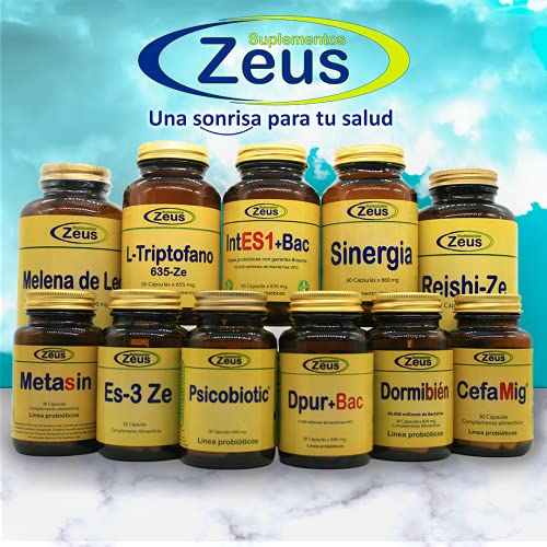 GLUTAMINA 877-ZE Contribuye a la recuperación muscular tras sesiones de entrenamiento intenso. Complemento Alimenticio a base de L-Glutamina y Vitamina B6 100% Vegano. 90 Cápsulas Vegetales