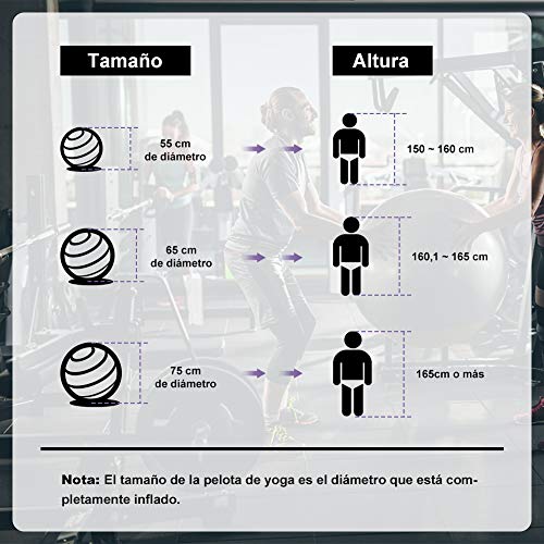 Glymnis Pelota de Pilates Pelota Anti-Burst para Pilates Gimnasia Fitness Equilibrio Yoga Embarazo 55cm 65cm 75cm con Hinchador Púrpura (55cm)