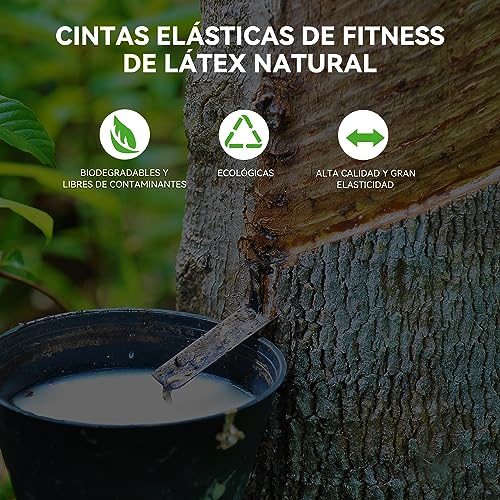 Gomas Elasticas Musculacion Bandas Elasticas Fitness, 4 Piezas Bandas De Resistencia Goma Dominadas De Caucho Natural para Estiramiento, Levantamiento De Potencia, Yoga, Pilates