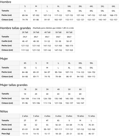 Gráfico de declinación de sustantivo latino para profesores de educación clásica Camiseta