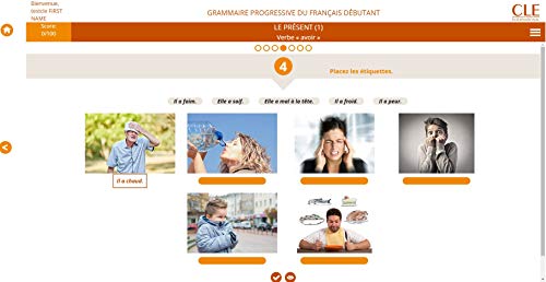 GRAMMAIRE PROGRESSIVE DU FRANAAIS DEBUTANT: Livre debutant + CD