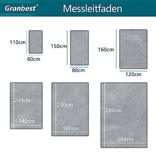 Granbest Alfombra gruesa premium similar a piel de oveja para salón, cocina, antideslizante, lavable, alfombra de suelo ultrasuave, alfombra para dormitorio (120 x 160 cm, gris claro)