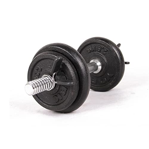 Helweet Abrazaderas Mancuernas, Pinza de Resorte Mancuerna, Collares de Resorte, Clips de Resorte para Mancuernas, para Entrenamiento de Fuerza, 6 Piezas (2,4 cm/2,5 cm/2,8 cm)