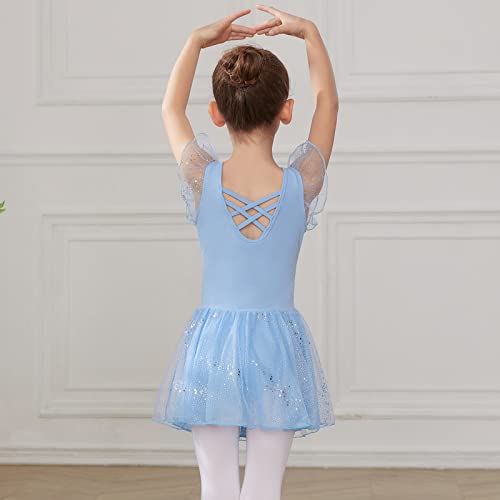 HIPPOSEUS Niña Maillot de Danza Lentejuelas Tutú Vestido de Ballet Gimnasia Leotardo Body Clásico para Niñas,Y05-Azul,8-9 Años