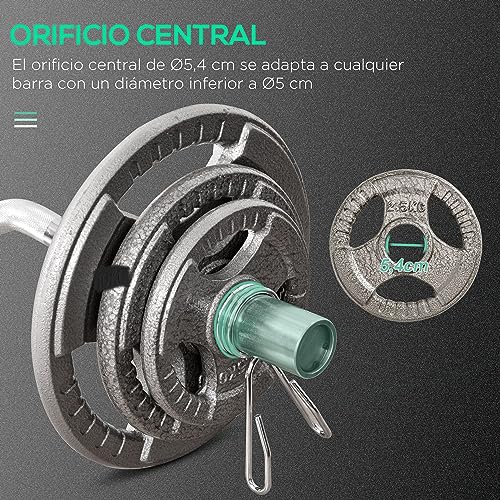 HOMCOM Juego de 6 Discos de Pesas de Acero 2x10 kg 2x5 kg 2x2,5 kg con Peso Total de 35 kg Discos Olímpicos con Orificio Central de Ø54 mm para Entrenamiento en Casa Gimnasio Plata