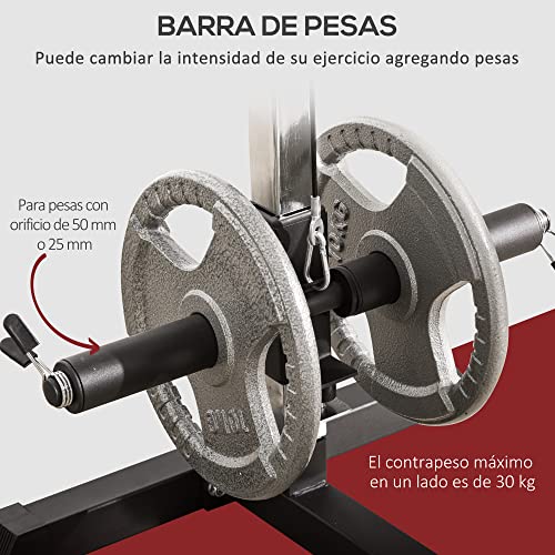 HOMCOM Máquina de Musculación Estación de Entrenamiento con Polea y Asiento Regulable para Fitness Entrenamiento en Gimnasio Hogar Oficina Carga Máx. 100 kg 107x120x190 cm Negro