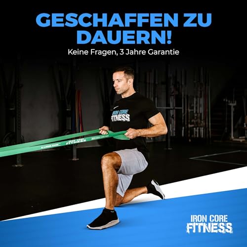 Iron Core Fitness Bandas de Resistencia física para dominadas, Gimnasia, Levantamiento de Pesas, Yoga, Crossfit, Boxeo y Flexiones, Libros electrónicos y Tabla de Ejercicios incluidos Verde XL