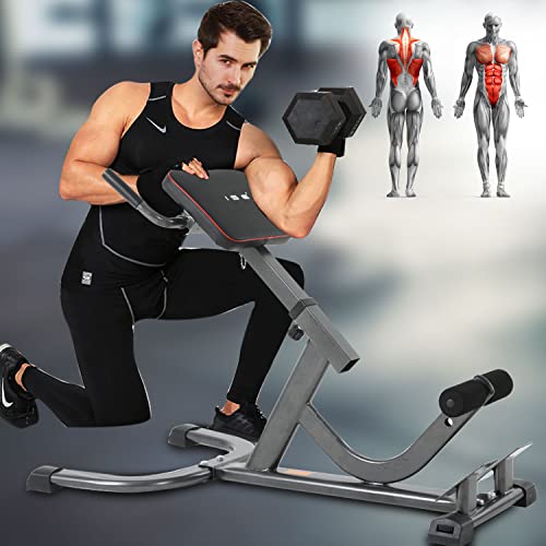 ISE Banco Romano, Banco de Pesas Ajustable, Silla Romana Multifuncional Respaldo Ajustable, Banco de Ejercicios Abdominales Planos, Banco de Pesas Inclinable de Fitness/Fuerza SY-5513