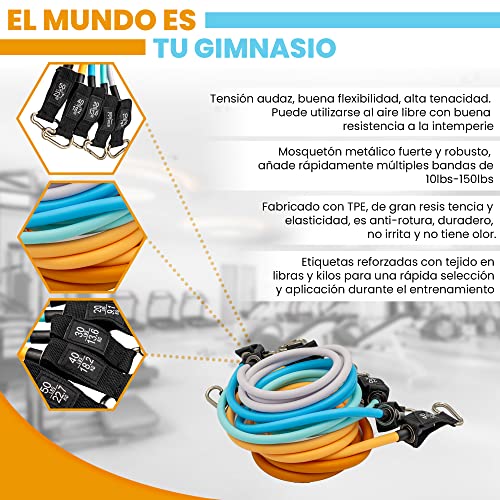 Jennuine Fitness Bandas de Resistencia (150lbs) 5 Gomas Elásticas Musculación de Diferentes Resistencias con Asas. Bandas ELÁsticas musculación para Gimnasio, Pilates Rehabilitación, Fitness en Casa