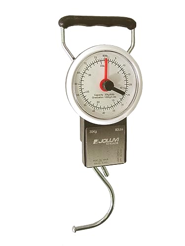 Joluvi Pesa Fly Scale