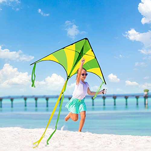 JOYIN Paquete de 2 Cometas Grandes Delta Kite Verde y Arco Iris fáciles de Volar, enormes Cometas para niños y Adultos con Cuerda de Cometa de 80 m, Beach para Juegos y Actividades al Aire Libre