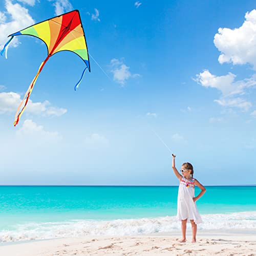 JOYIN Paquete de 2 Cometas Grandes Delta Kite Verde y Arco Iris fáciles de Volar, enormes Cometas para niños y Adultos con Cuerda de Cometa de 80 m, Beach para Juegos y Actividades al Aire Libre