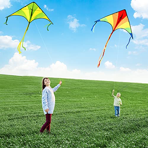 JOYIN Paquete de 2 Cometas Grandes Delta Kite Verde y Arco Iris fáciles de Volar, enormes Cometas para niños y Adultos con Cuerda de Cometa de 80 m, Beach para Juegos y Actividades al Aire Libre