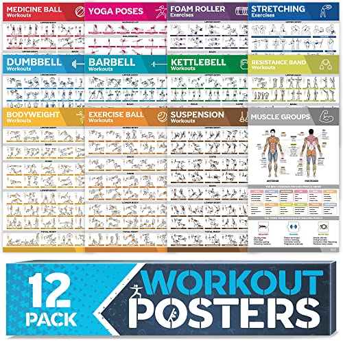 [Juego de 12] Pósteres para Pared de Entrenamiento – Pósteres Gimnasio en Casa – Póster Gimnasio Incl. Ejercicio en Casa con Mancuernas, Yoga, Bandas de Resistencia, Pesas Rusas, Estiramientos