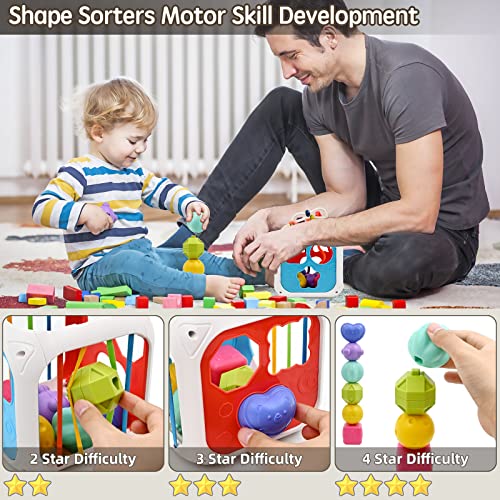 Juguetes Niños 1 2 Año, 7 in 1 Montessori Sensoriales Educativos Juguete para Bebe 6-12 18 Meses Cubo de Actividades Juguetes Clasificador de Formas para 1 2 3 Años Regalo de Cumpleaños Navidad