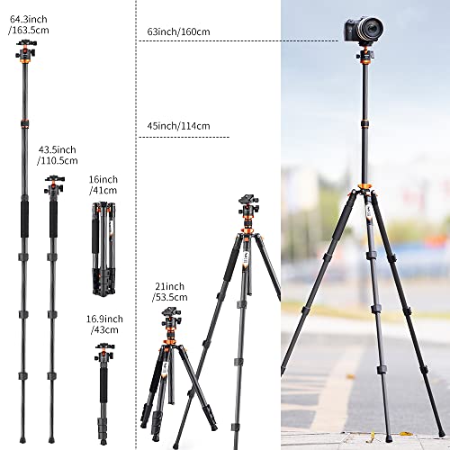 K&F Concept Trípode Cámara Carbono, 160cm Trípode de Viaje Ligero con Monopié, Trípode Profesional Compacto con Rótula de Bola 360°y Placa de Liberación Compatible con Cámara DSLR D254C1+BH-28L