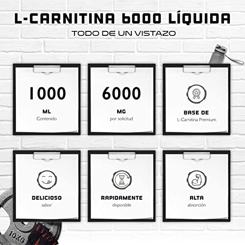 L-Carnitina 6000 Líquido - 1000 ml - Dosis extra alta con 6000 mg de L-Carnitina pura por porción diaria - Bebida Amino-Entrenamiento - Sabor delicioso (Orange Power) - Vegano