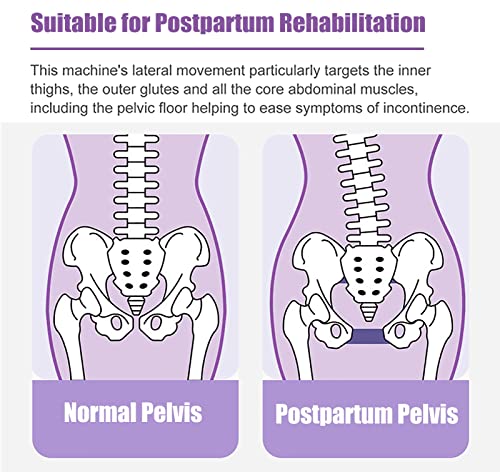 Máquina de Entrenamiento de Muslos Máquina de Entrenamiento Corporal para Adelgazar Las Piernas, Equipo para Ejercicios de Glúteos Y Suelo Pélvico, Moldeador Muscular Duradero Plegable para Reparación