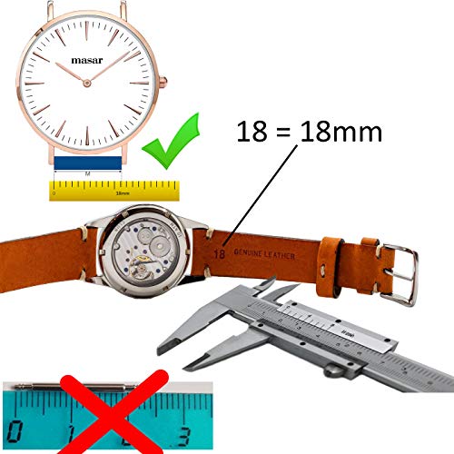 masar 20mm X 2 Premium Barras de Resorte para Relojes de Acero Inoxidable Diámetro 1.5 mm 20 mm, X 2 + Herramienta