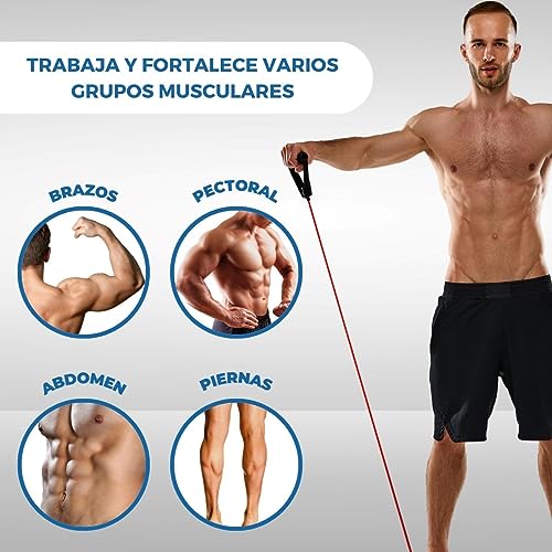 Mobiclinic, Goma elásticas de musculación con Asas, 5 Niveles, Bandas de Resistencia Crossfit, Gimnasio en casa, Marca española, Gomas Elásticas Fitness para Yoga, Pilates, Estiramientos, Glúteos