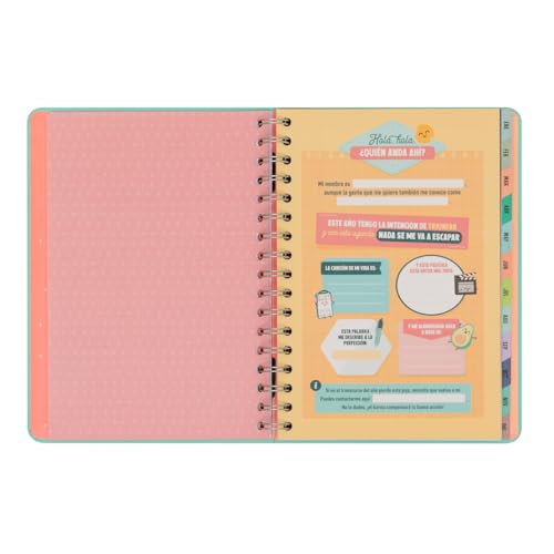 Mr.Wonderful Agenda Wonder 2024 Semanal, Voy a conseguir miles de cosas, 22,1 x 2,1 x 15,6