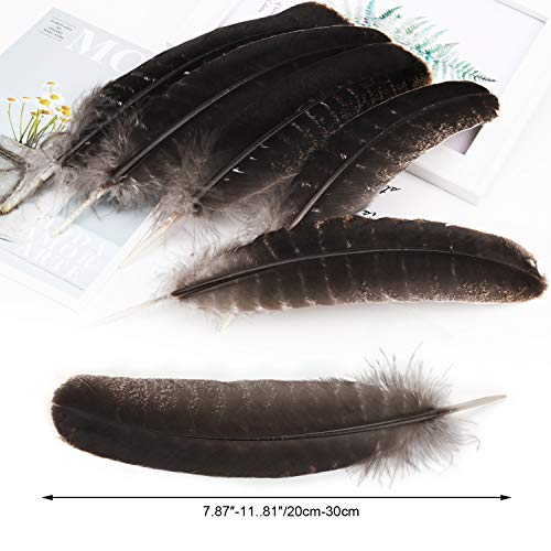 Mwoot 10pcs Plumas de Cola de faisán, 20-30cm Naturales Plumas para la decoración del hogar, Pascua Máscara de Catcher Sueño Prendas de vestir DIY Artesanía Sombrero