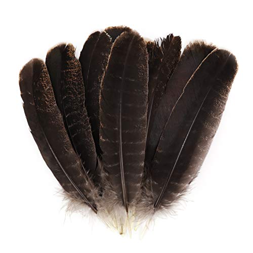 Mwoot 10pcs Plumas de Cola de faisán, 20-30cm Naturales Plumas para la decoración del hogar, Pascua Máscara de Catcher Sueño Prendas de vestir DIY Artesanía Sombrero