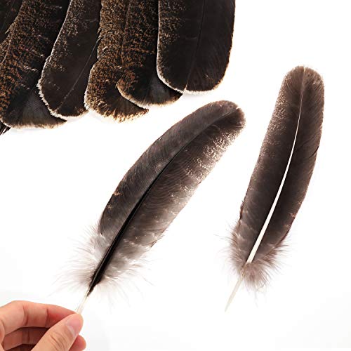 Mwoot 10pcs Plumas de Cola de faisán, 20-30cm Naturales Plumas para la decoración del hogar, Pascua Máscara de Catcher Sueño Prendas de vestir DIY Artesanía Sombrero