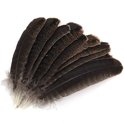 Mwoot 10pcs Plumas de Cola de faisán, 20-30cm Naturales Plumas para la decoración del hogar, Pascua Máscara de Catcher Sueño Prendas de vestir DIY Artesanía Sombrero