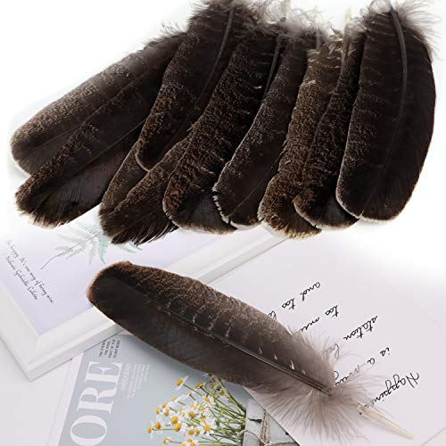 Mwoot 10pcs Plumas de Cola de faisán, 20-30cm Naturales Plumas para la decoración del hogar, Pascua Máscara de Catcher Sueño Prendas de vestir DIY Artesanía Sombrero