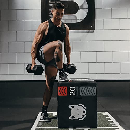 Next Alpha Plyo Box - para Ejercicios de Salto, Step-up y Fitness – 20-24-30 Pulgadas con Capa Antideslizante y amortiguadora