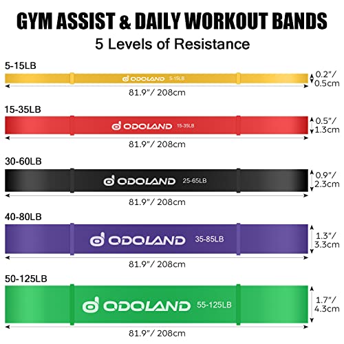 Odoland Bandas Elásticas Fitness Set 17 en 1 con 5 Bandas de Resistencia. 5 Niveles de Pull Up Bands, Kit de Accesorios para Pilates y Entrenamiento