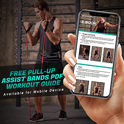 Odoland Bandas Elásticas Fitness Set 17 en 1 con 5 Bandas de Resistencia. 5 Niveles de Pull Up Bands, Kit de Accesorios para Pilates y Entrenamiento