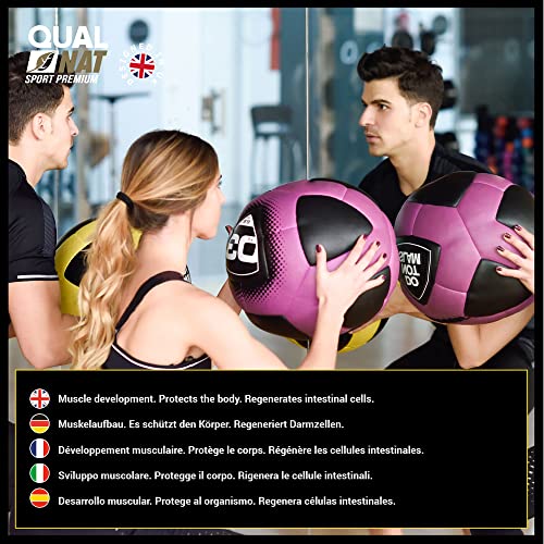 Pack de BCAA y L-Glutamina - Suplementos para Ganar Masa Muscular -Formato de 240 y 360 Cápsulas - Reduce el Catabolismo y Acelera la Recuperación - Favorece el Crecimiento Muscular - QUALNAT