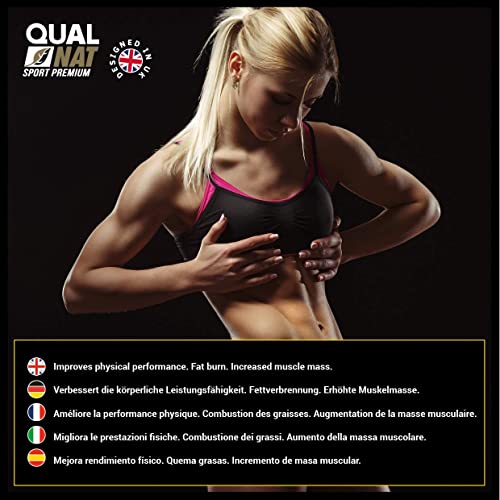 Pack de BCAA y L-Glutamina - Suplementos para Ganar Masa Muscular -Formato de 240 y 360 Cápsulas - Reduce el Catabolismo y Acelera la Recuperación - Favorece el Crecimiento Muscular - QUALNAT